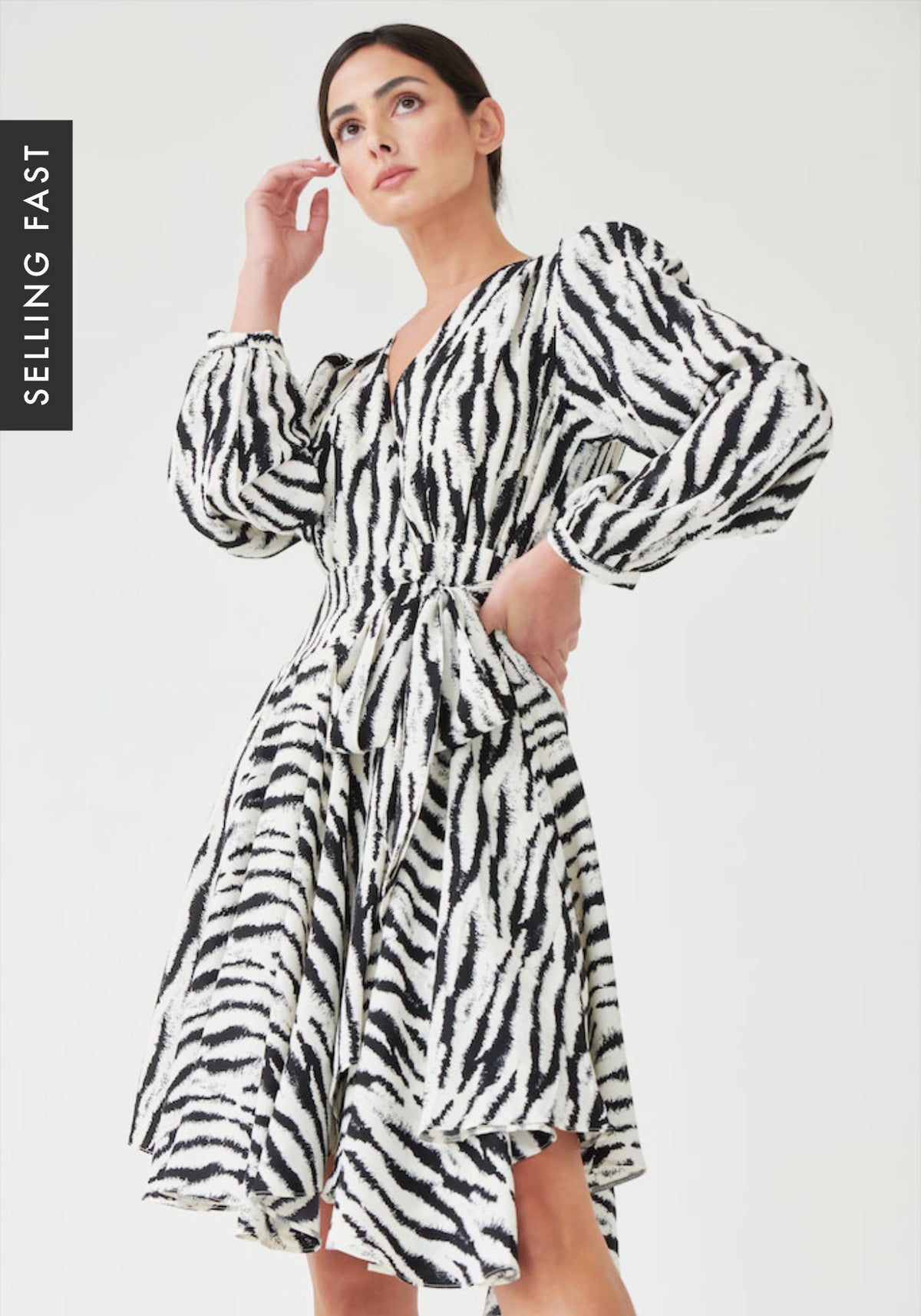 Long Sleeve Wrap Mini Skater Dress In Zebra Print
